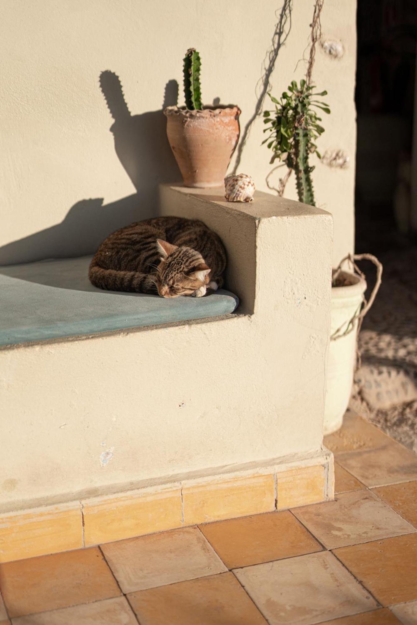 Dar Afoulky Maison D'Hotes Sidi Kaouki Εξωτερικό φωτογραφία